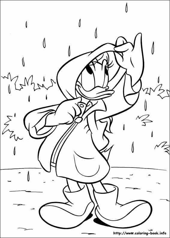 Daisy kolorowanki